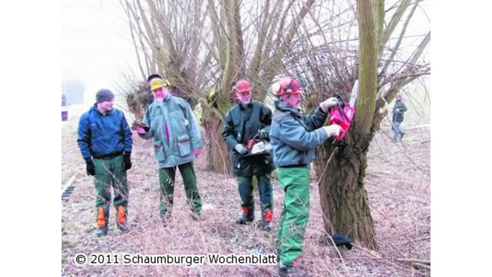 Kreischende Sägen sorgen für nachhaltigen Naturschutz (Foto: red)