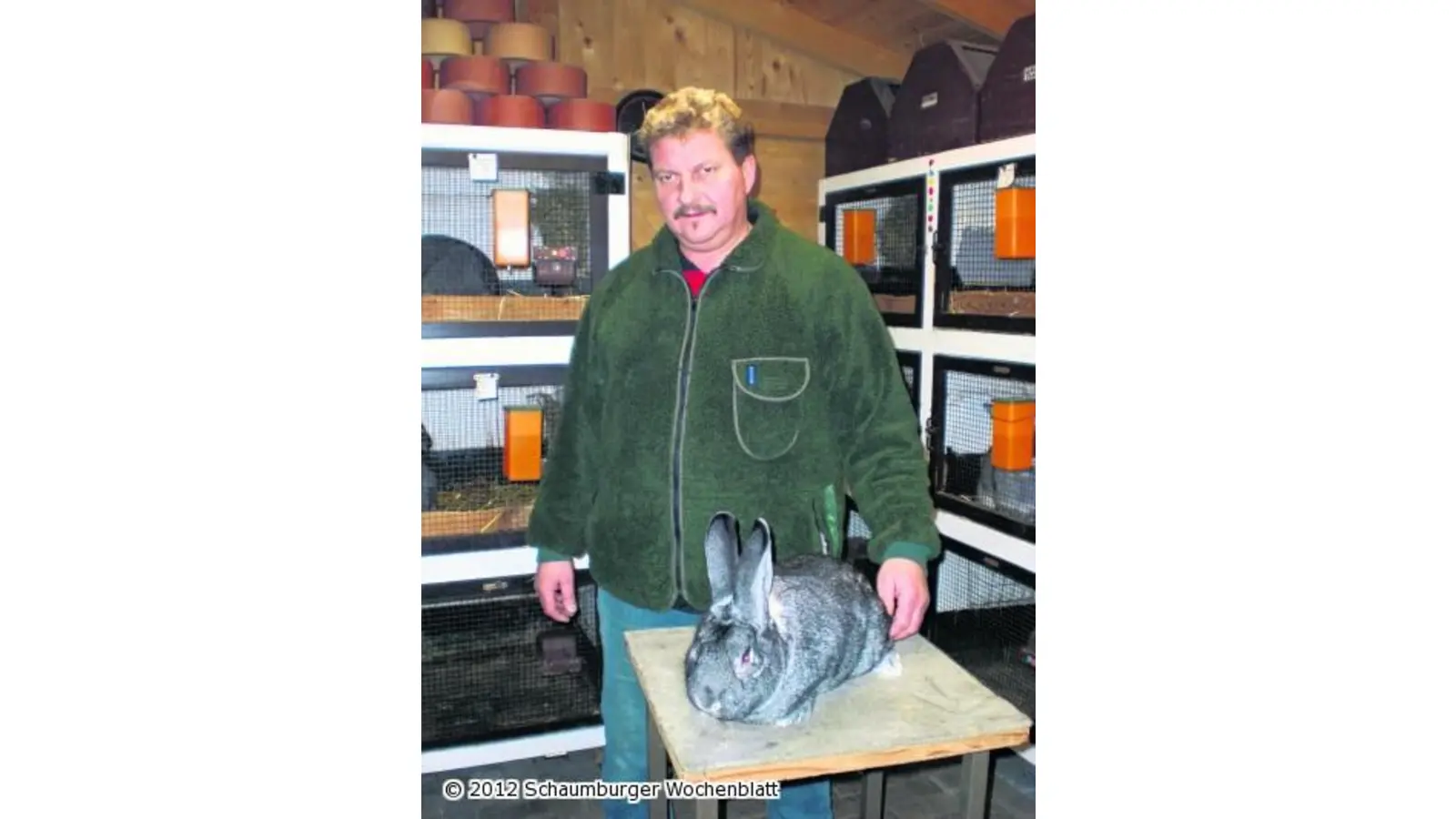 Großchinchilla trägt jetzt den Meistertitel (Foto: al)