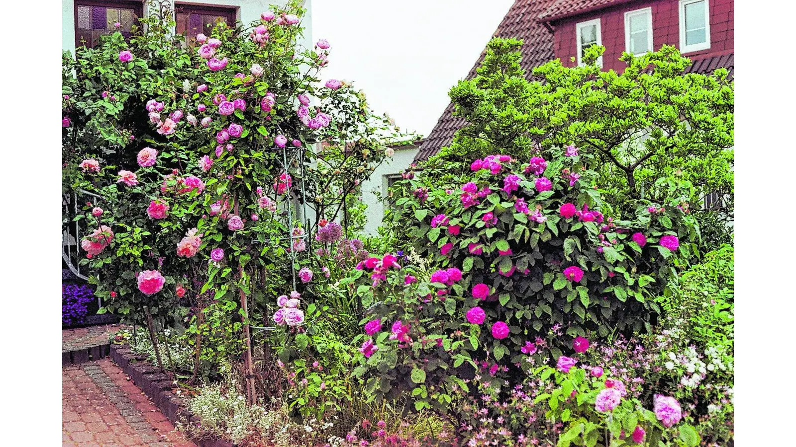 Pure Romantik hinter der Pforte (Foto: jb)