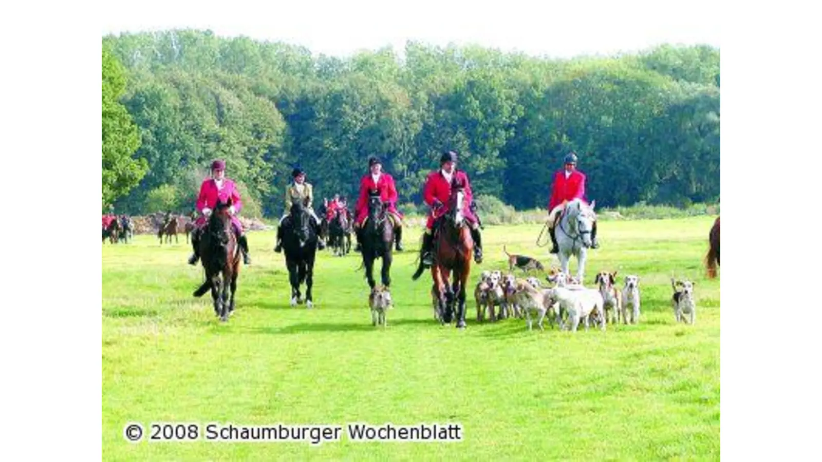 Schleppjagd wirft ihre Schatten voraus (Foto: hb)