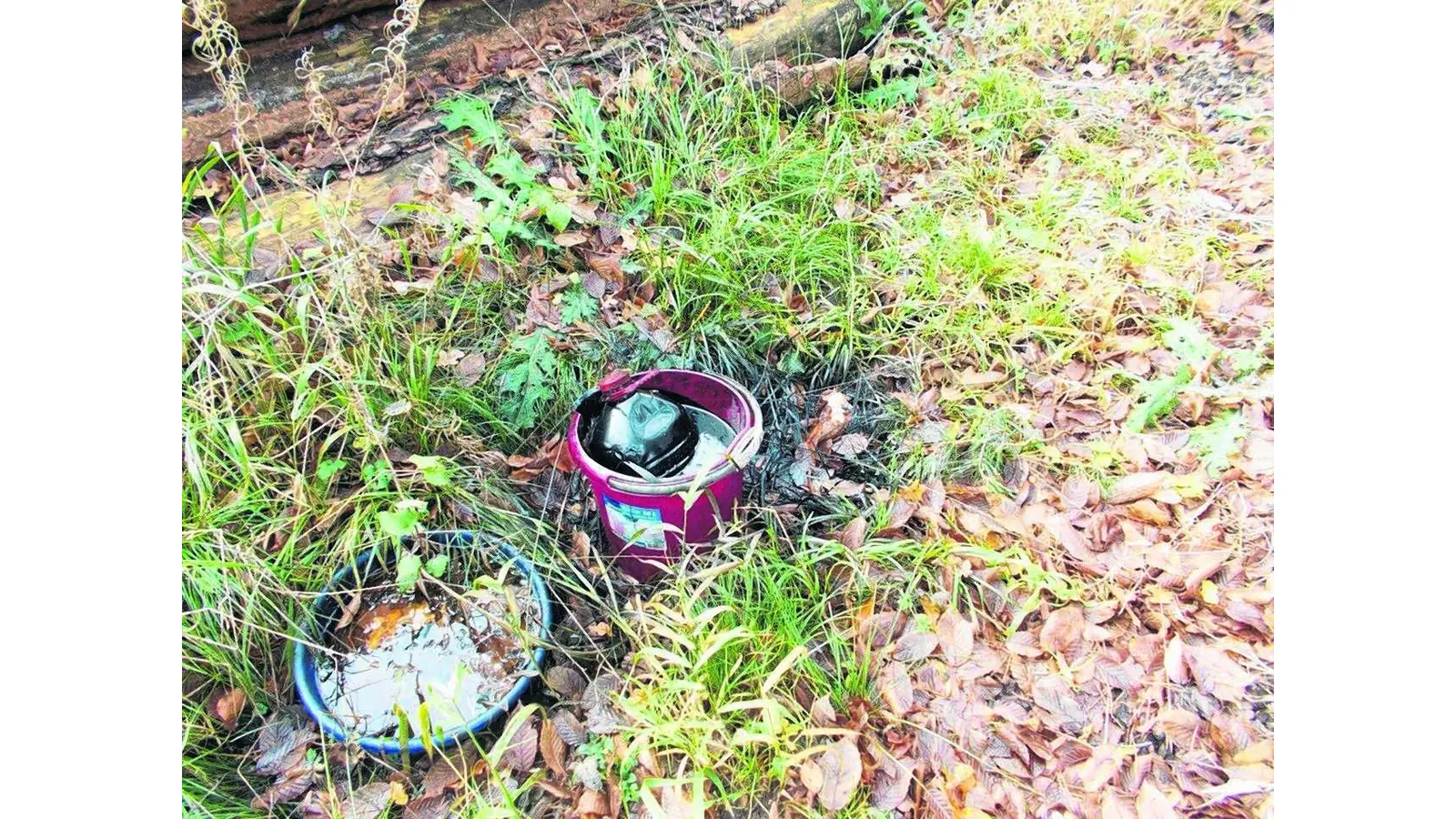 Waldboden mit Altöl verunreinigt (Foto: gr)