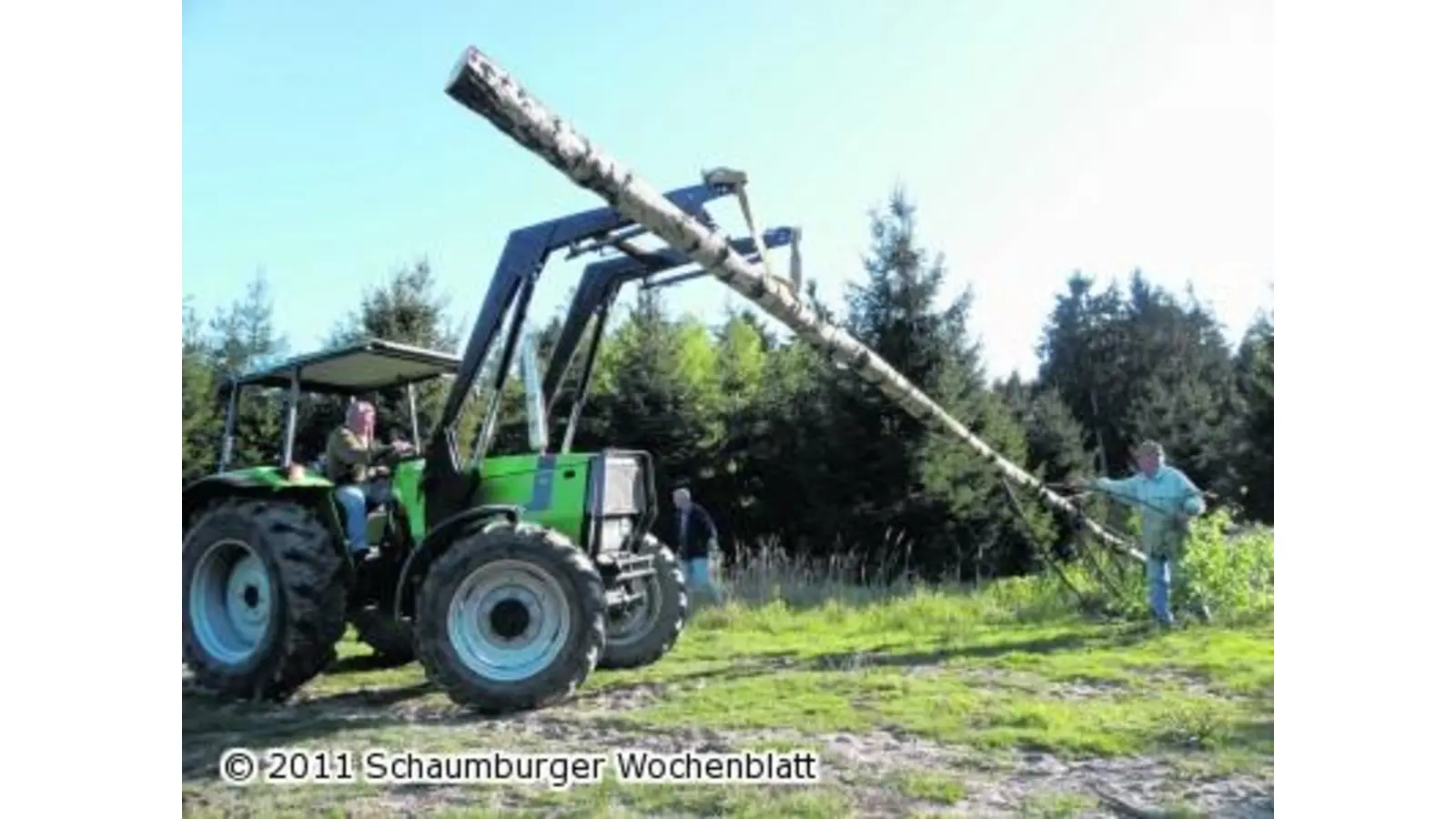 Ausgesuchte Birke ist verschwunden (Foto: red)