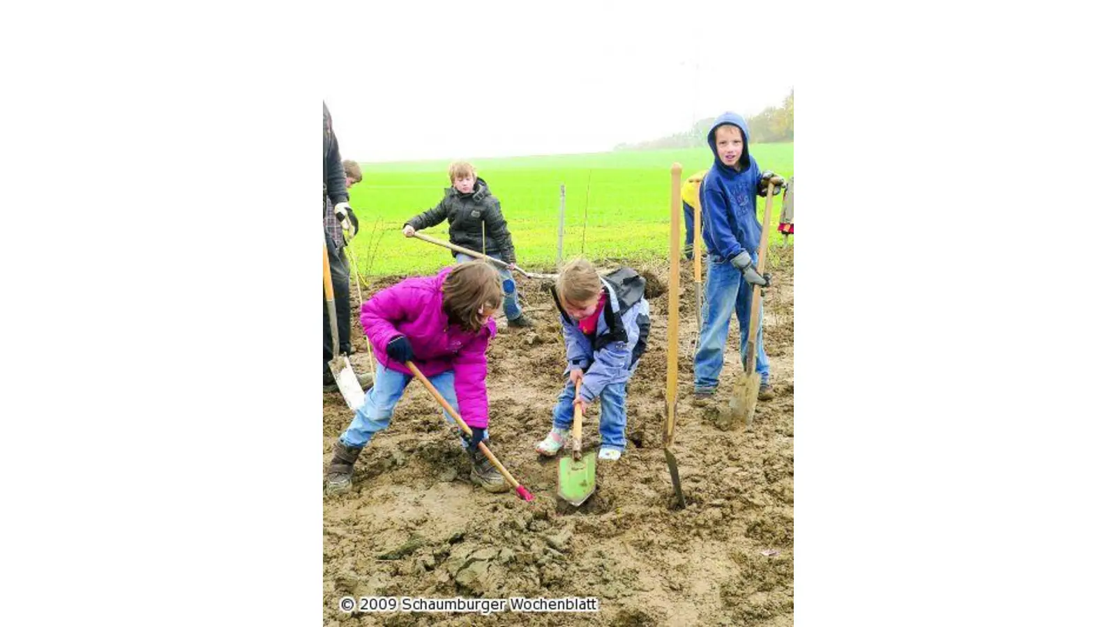 Altenhäger Nabu-Biotop gerät ins Stocken (Foto: al)