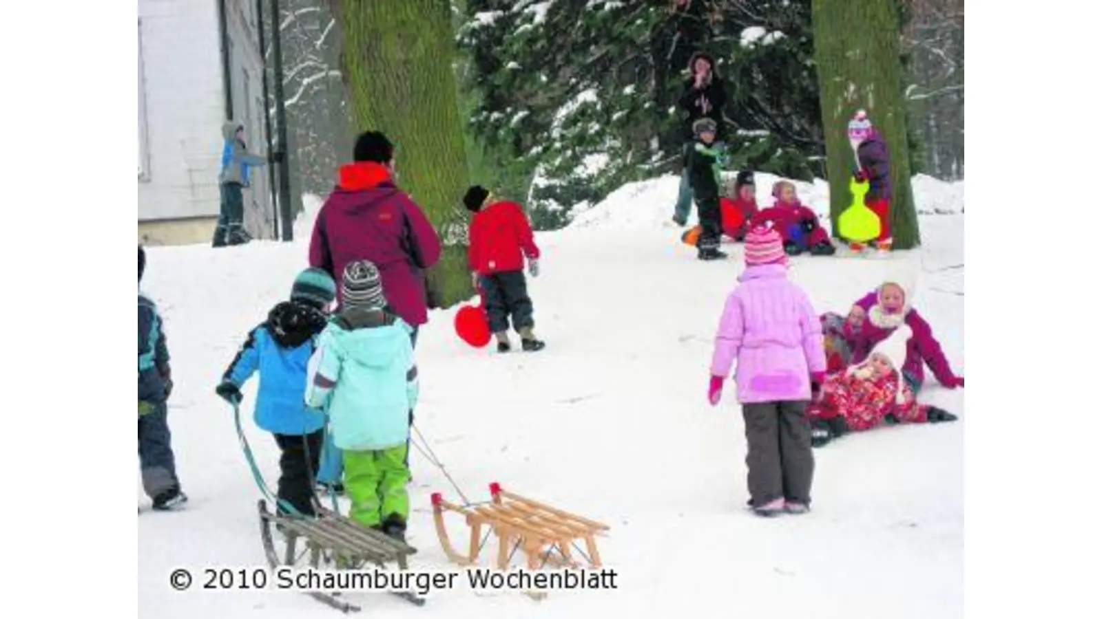 Kinder erobern den Rodelberg (Foto: red)