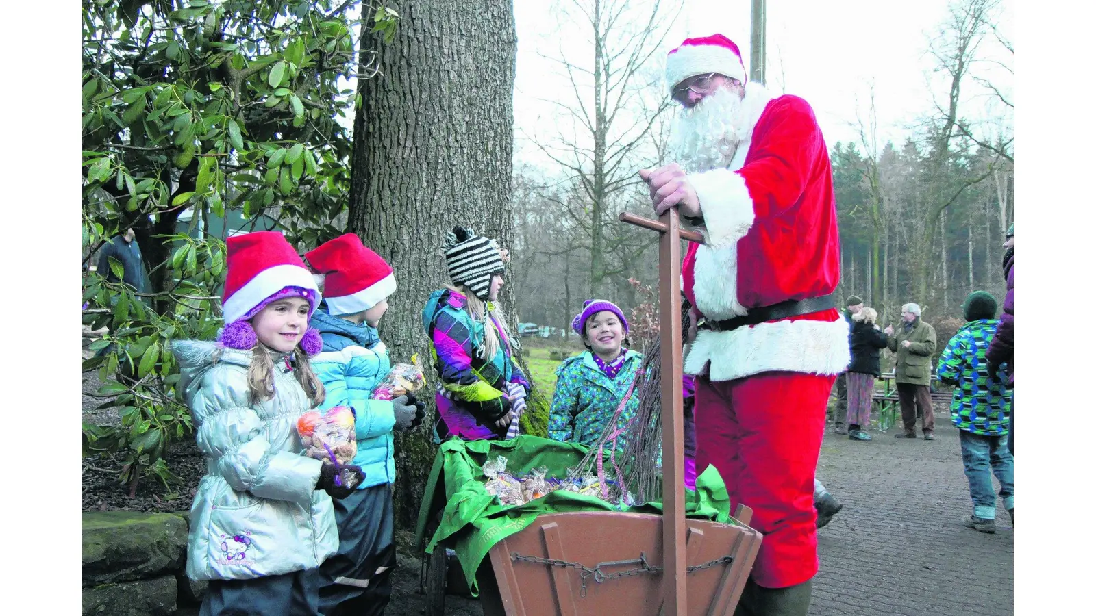 Adventsstimmung im Wald genießen (Foto: bb)
