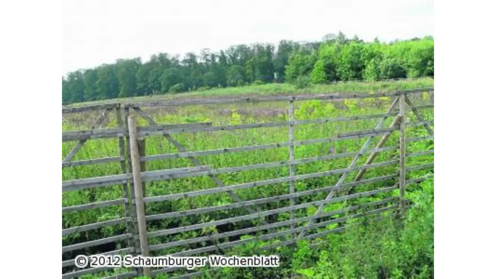 Mit sieben Hektar zurück zur Natur (Foto: al)