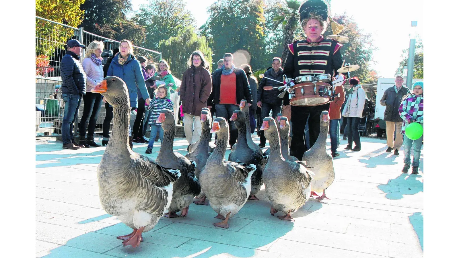 Trachtentanz und Gänsemarsch in der Herbstsonne (Foto: red)