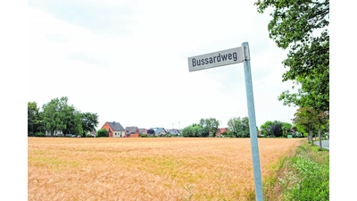 Ab Frühjahr 2020 soll in Riepen gebaut werden (Foto: jl)