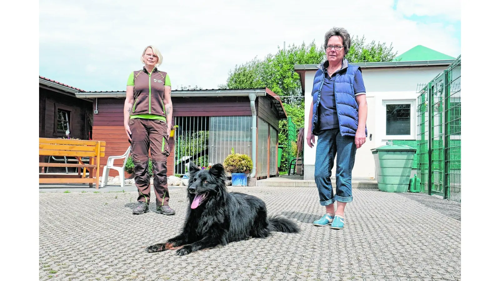 Die Tierheime müssen es ausbaden (Foto: jl)