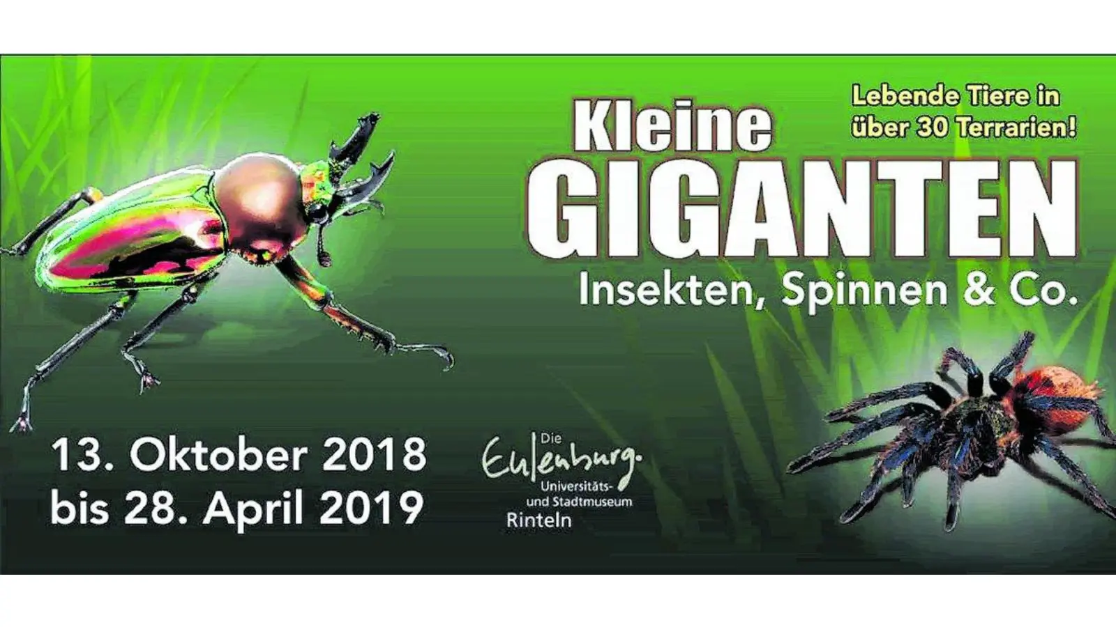 Programm des Heimatbundes (Foto: km)