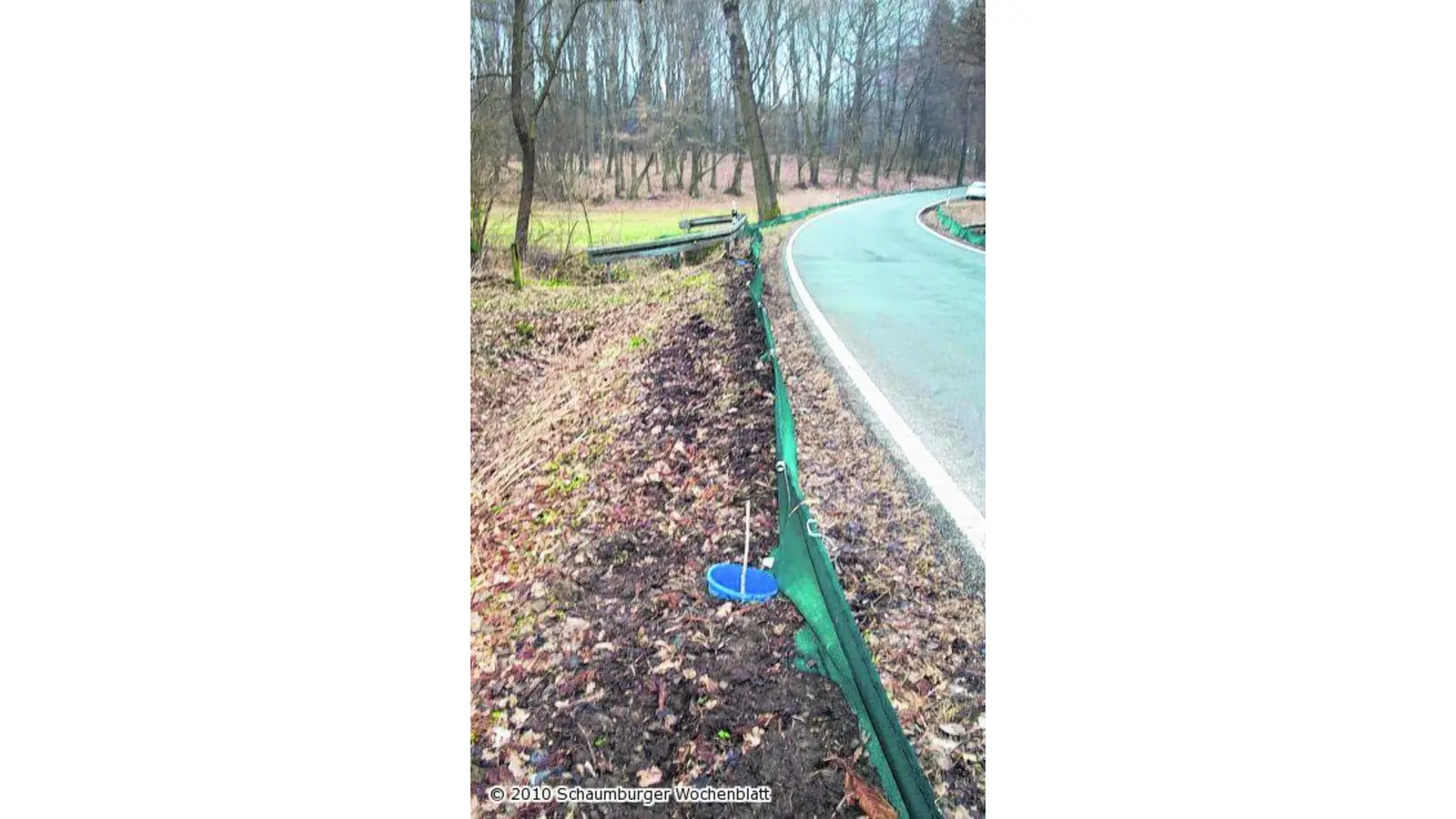 Amphibien schützen (Foto: em)