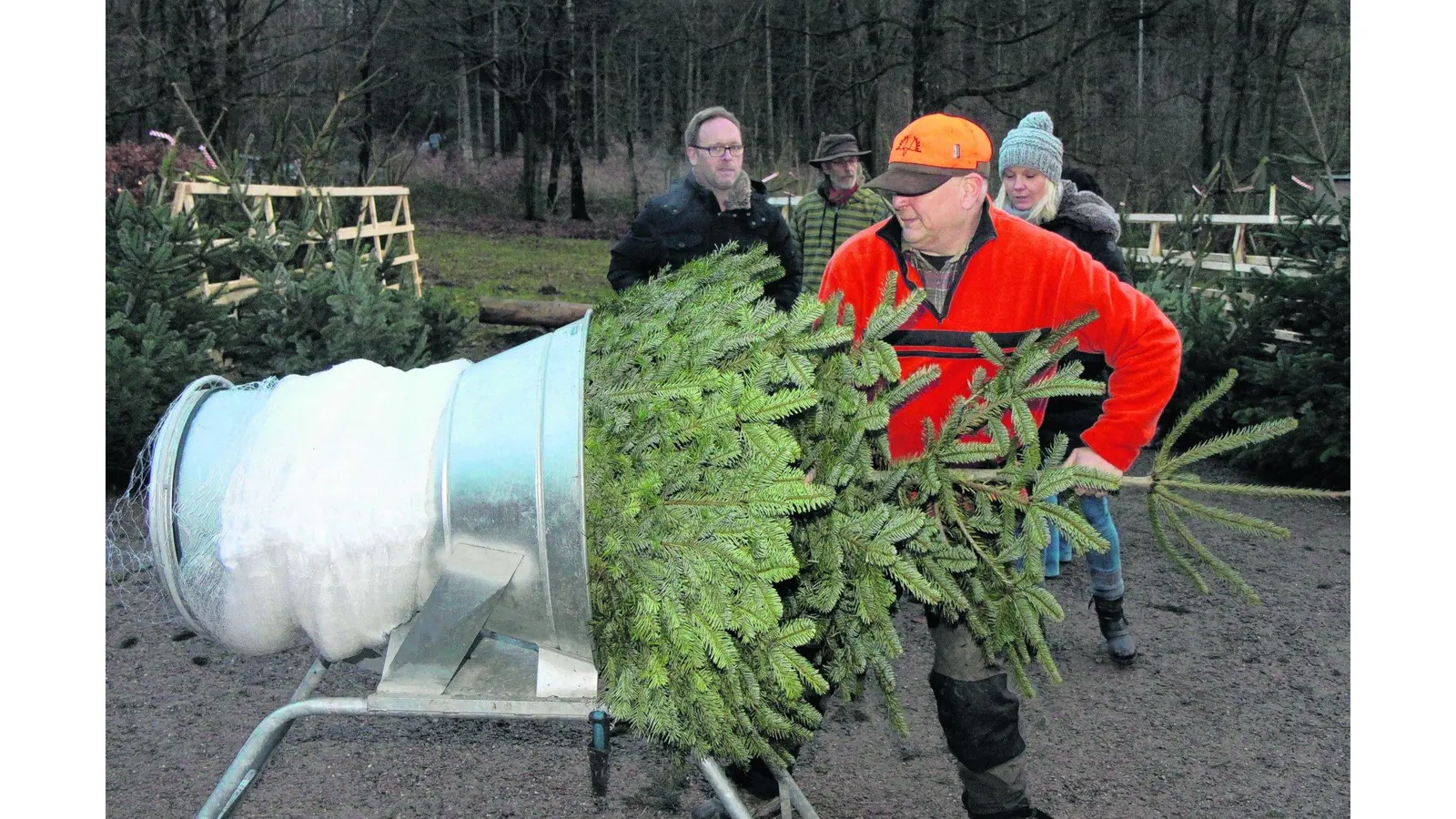 Adventsstimmung mitten im Wald genießen (Foto: bb)