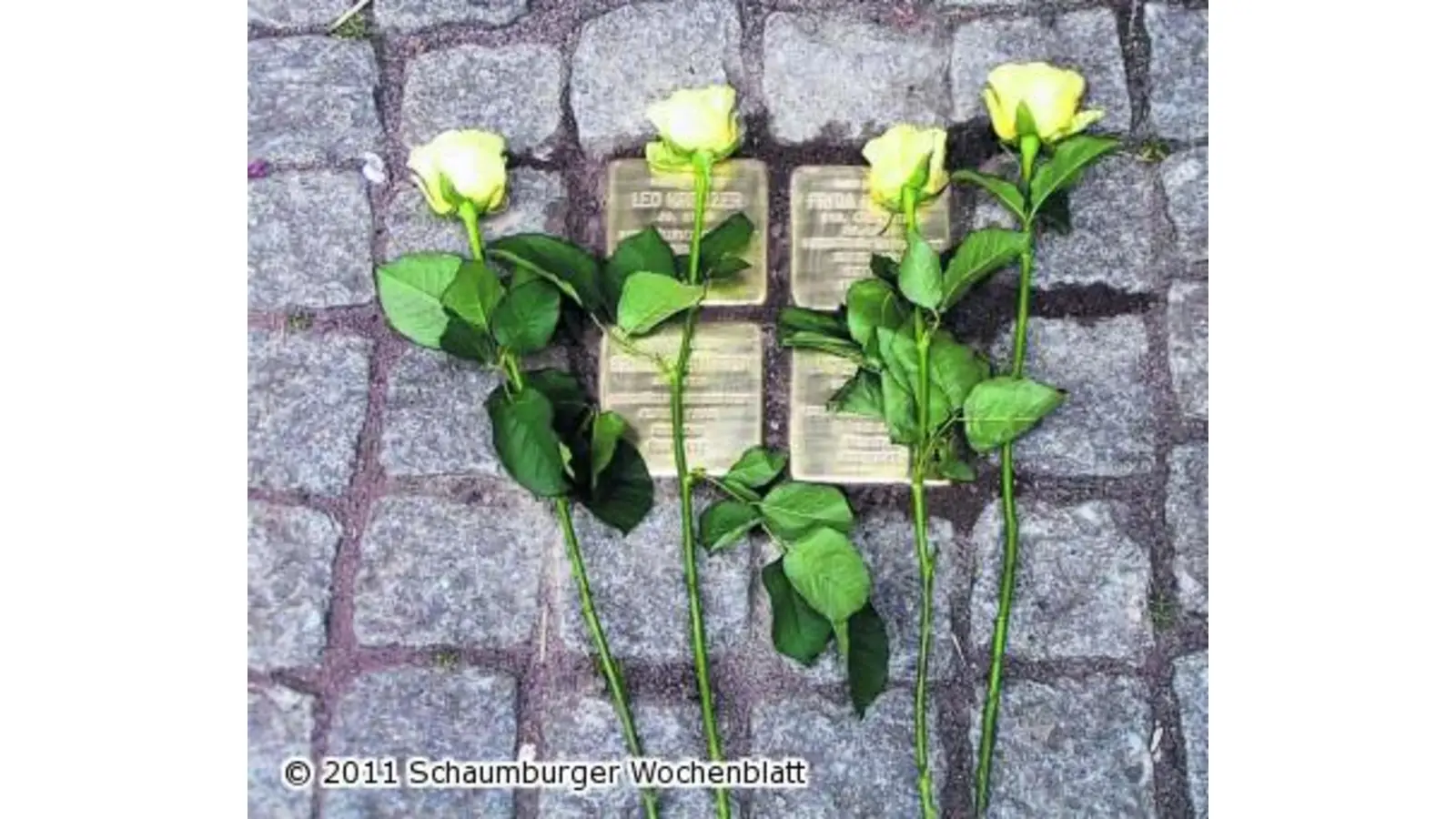 Stolperstein-Verlegung und Ausstellung (Foto: red)