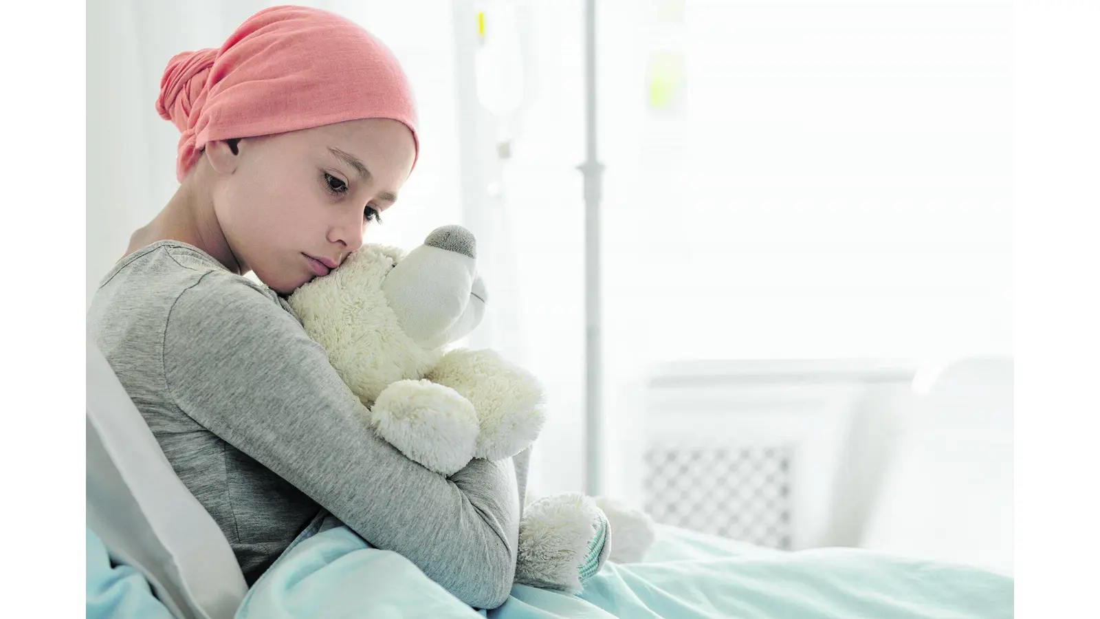 Weak girl with cancer wearing pink headscarf and hugging teddy bear (Foto: mk)