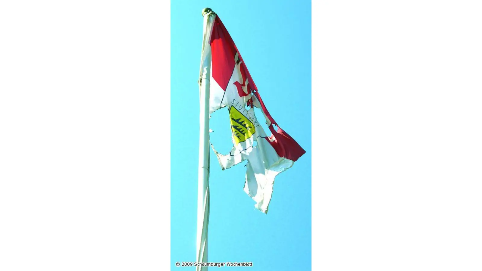 Belohnung ausgesetzt (Foto: jl)