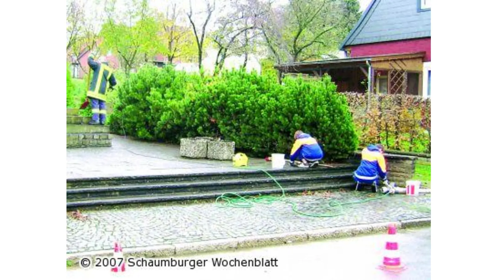 Jugendwehr kämpft gegen Moos und Kraut (Foto: al)