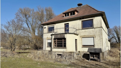 Das Artenschutzhaus der Firma Reese aus Möllenbeck in Stemmen ist ein Vorzeigeprojekt in Sachen Natur- und Artenschutz. (Foto: ste)