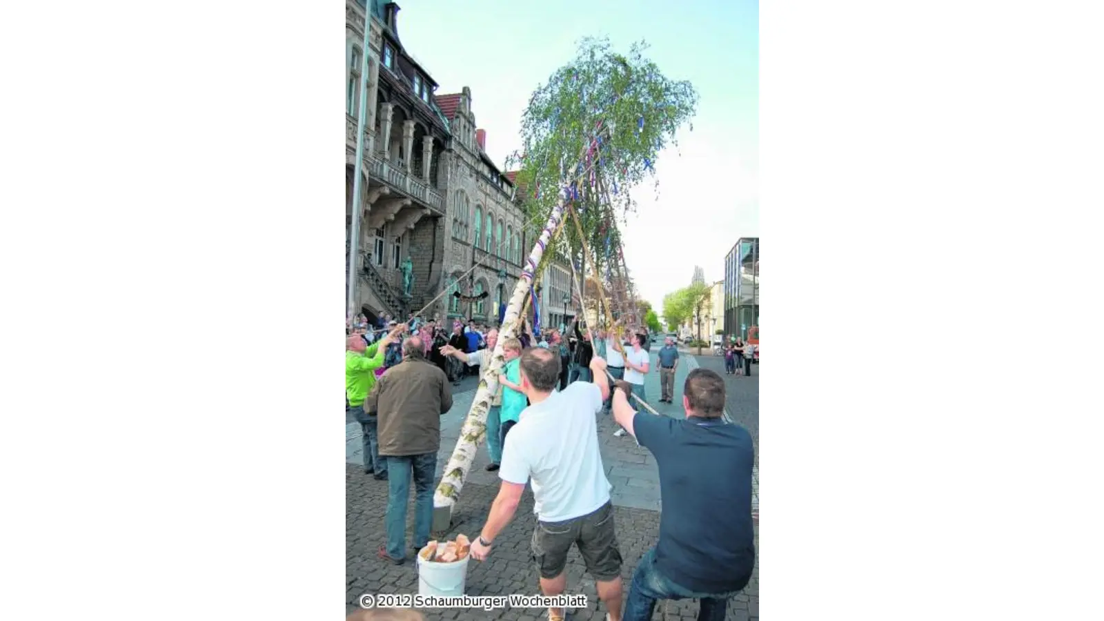 Mit viel Manneskraft den Maibaum aufgestellt (Foto: red)