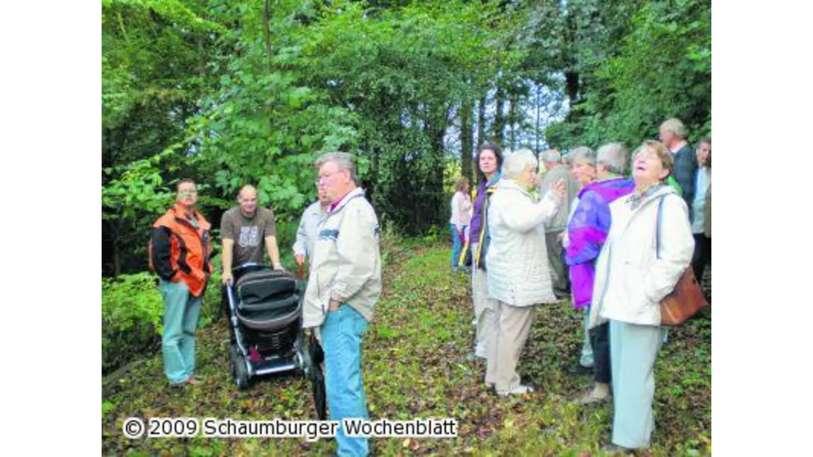 Bürgerpark erholt sich langsam (Foto: pd)