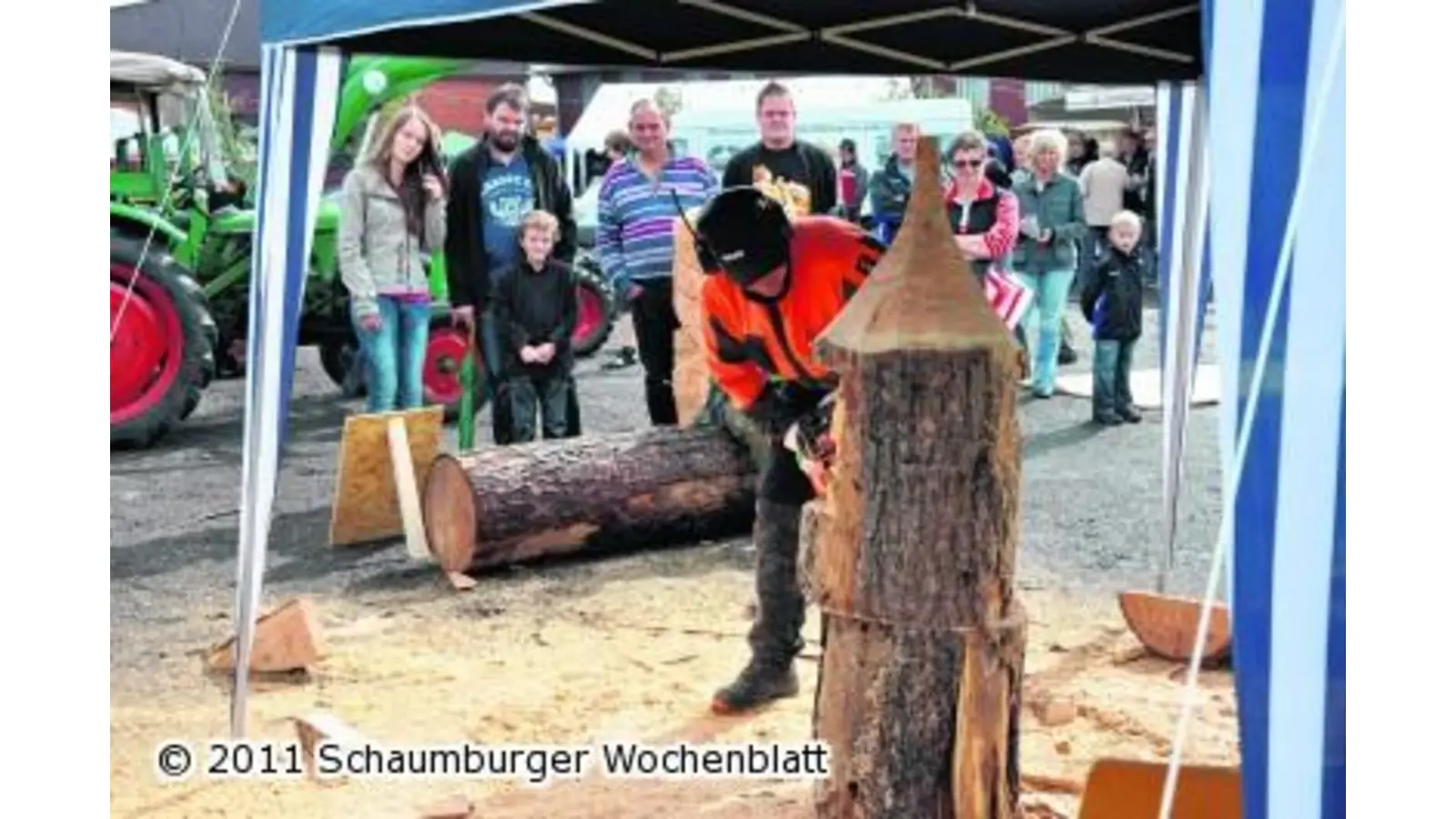 Zwischen surrenden Sägen und knatternden Motoren (Foto: nb)