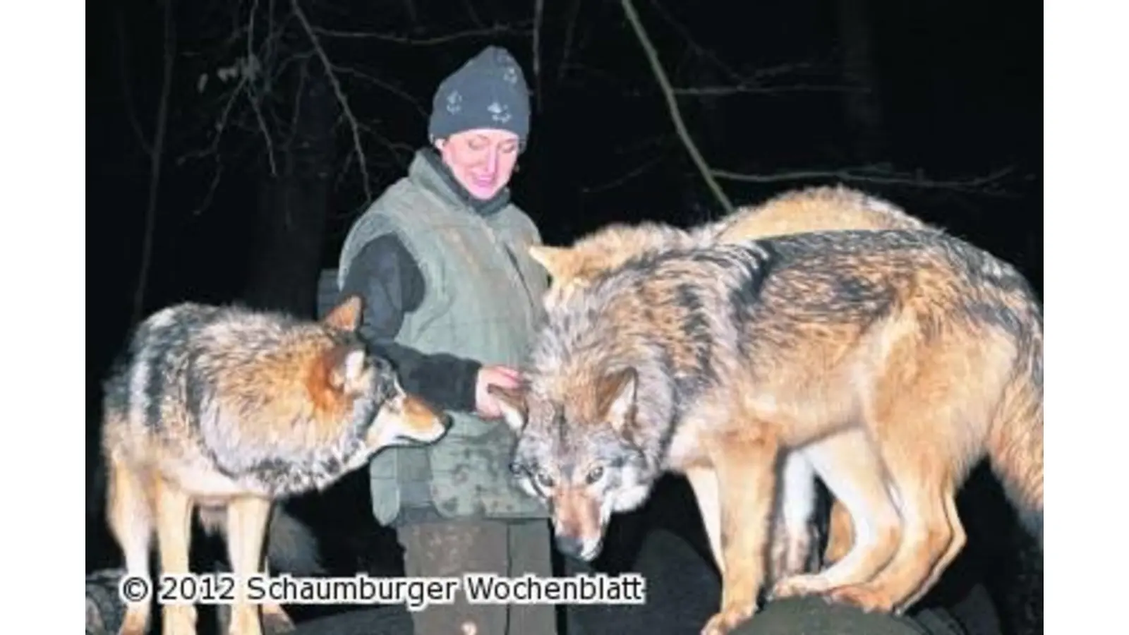 Gänsehaut und Fellkontakt (Foto: jo)