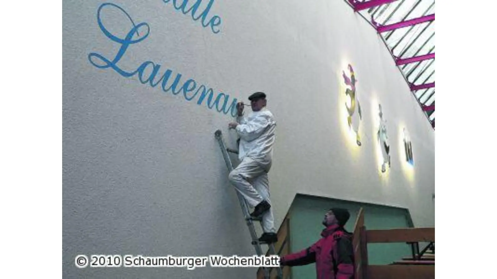 Lustige Pinguine über dem Eis (Foto: al)