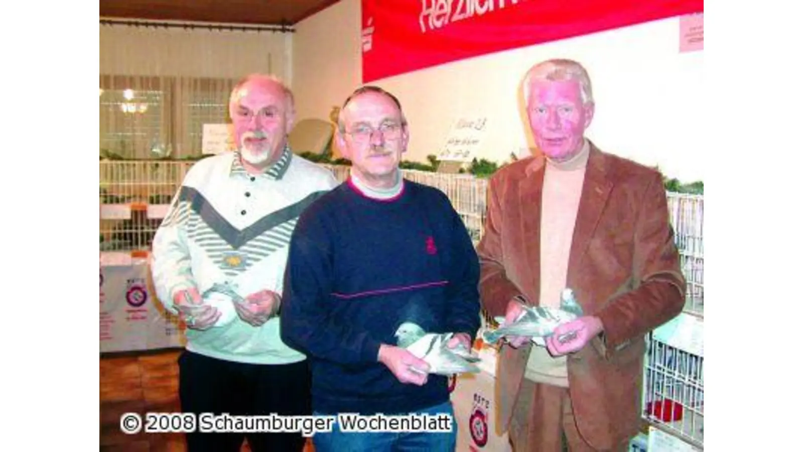 Züchter präsentieren ihre schönsten Brieftauben (Foto: red)