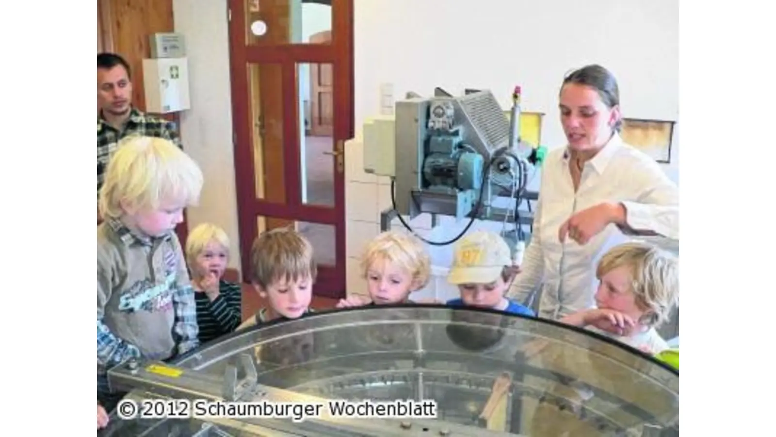 Blicke in den Bienenstock (Foto: al)
