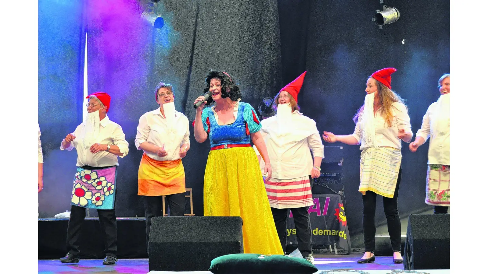 Kompanien liefern mitreißende Show ab (Foto: gi)