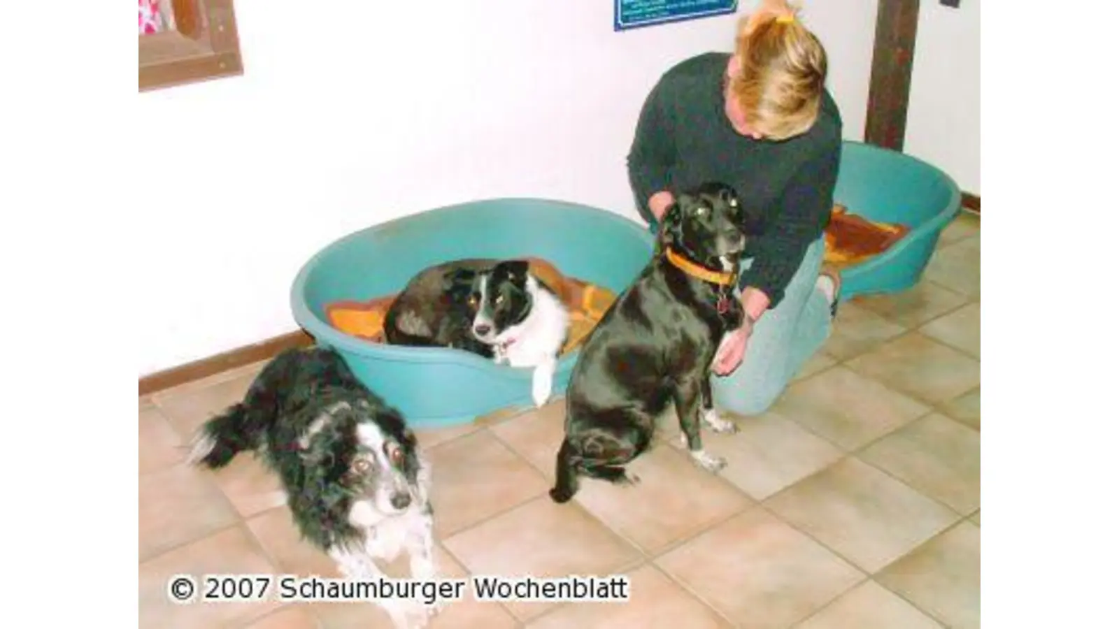 Ein neuer Liebling aus dem Tierheim (Foto: mk)