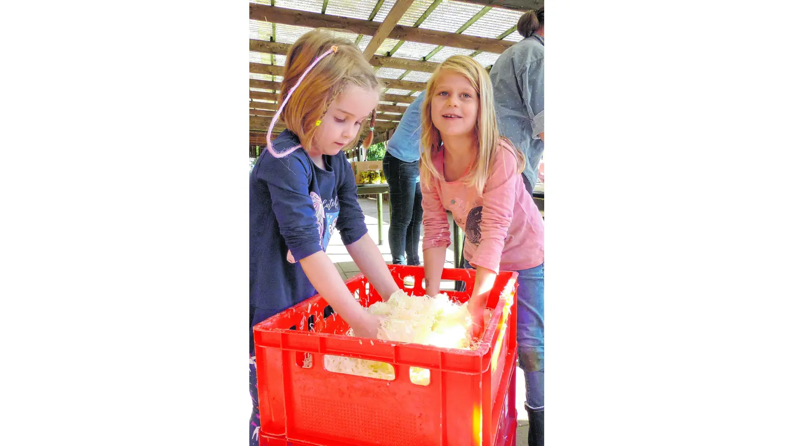 Auch Kinder kneten das künftige Kraut (Foto: al)