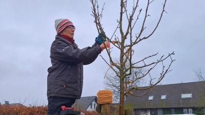 Viel Wissenswertes und praktische Anregungen für den eigenen Garten gibt es am Tag der Streuobstwiese. (Foto: gk)