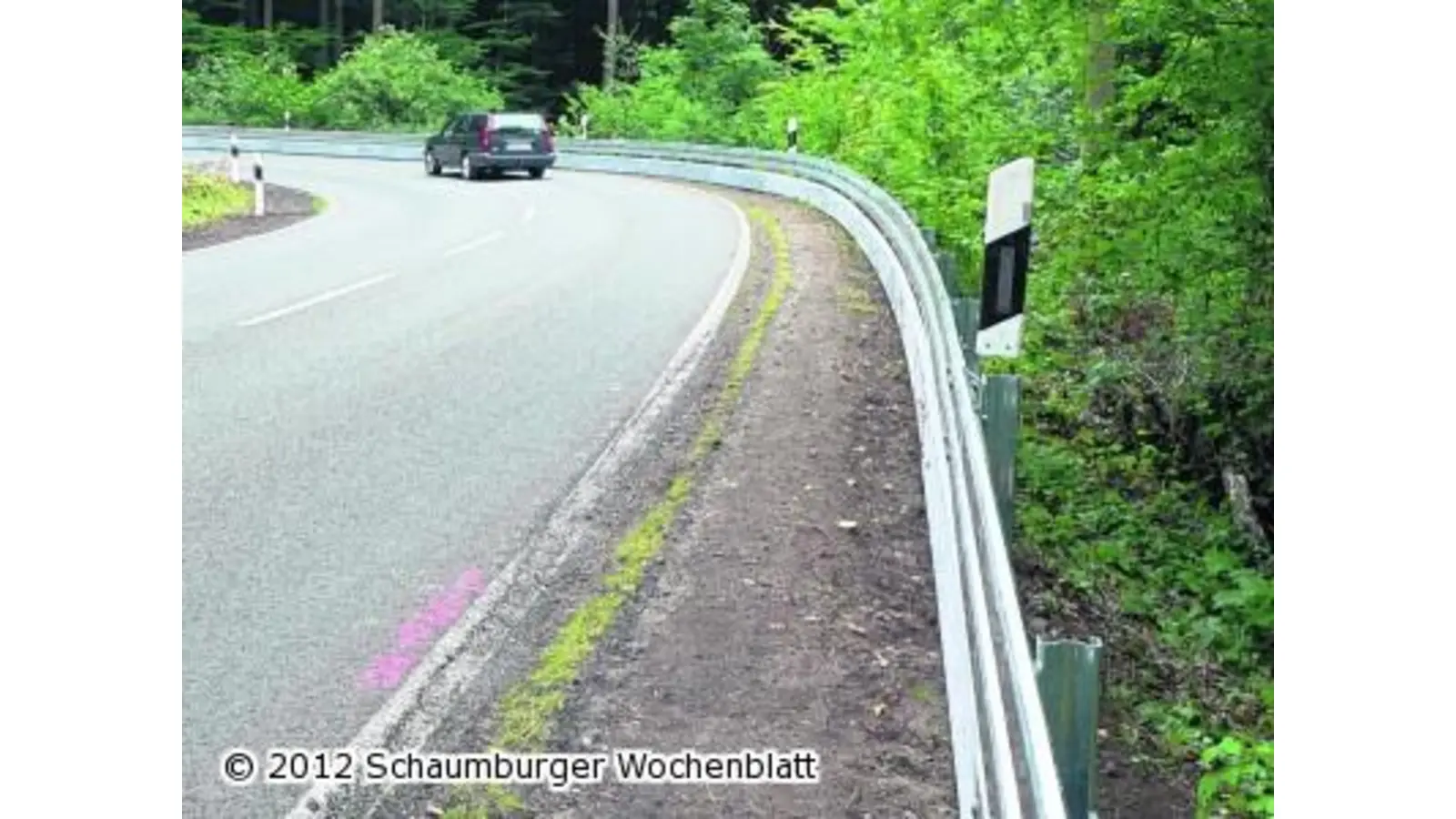 Doppelplanken sollen schützen (Foto: al)