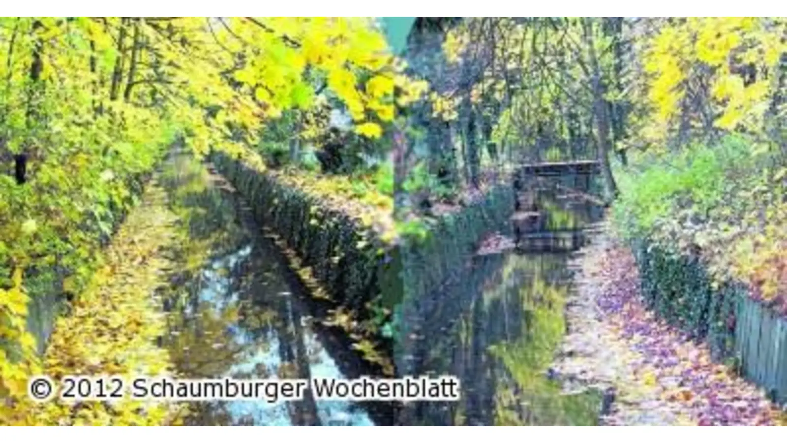 Enteninsel ist das größte Problemkind (Foto: km)