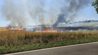 In Flammen: Ein Feld bei Auhagen. (Foto: Feuerwehr)