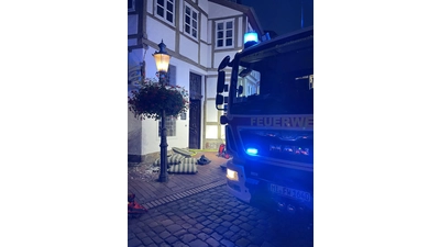 Vorderseite mit Brandgut (Foto: Feuerwehr)