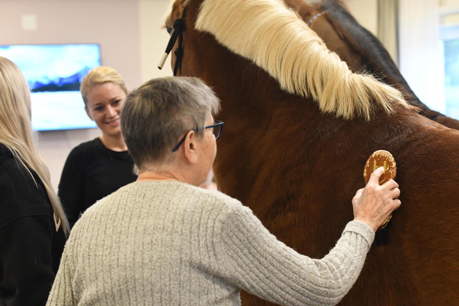 Pony Wega und Nele Plaßmeier (Foto: nd)