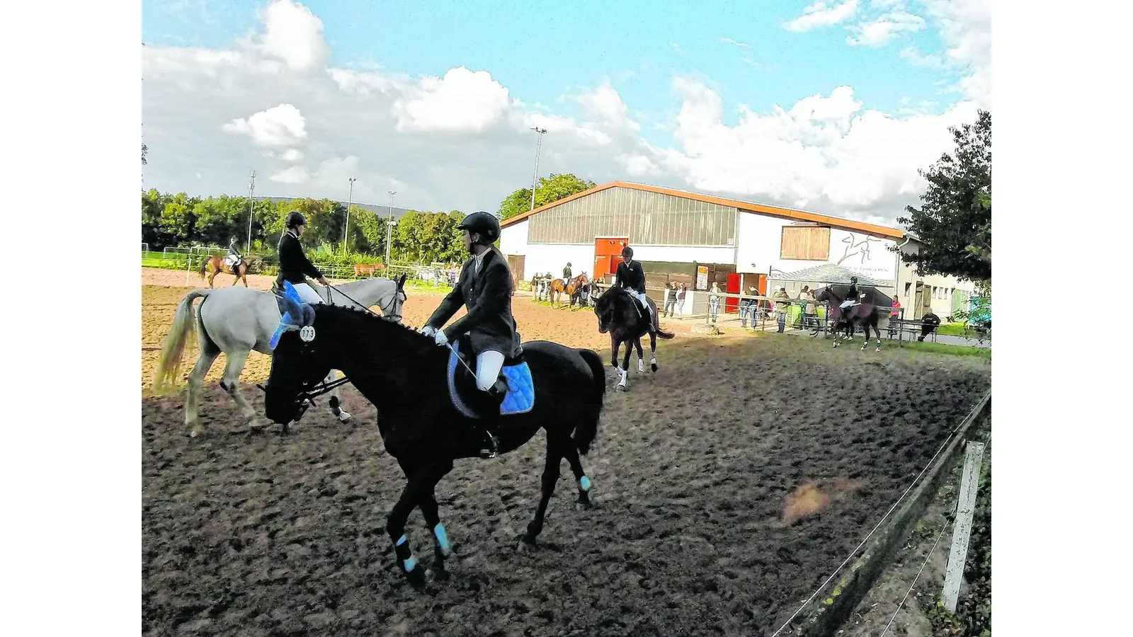 Reitturnier am Steinanger (Foto: red)