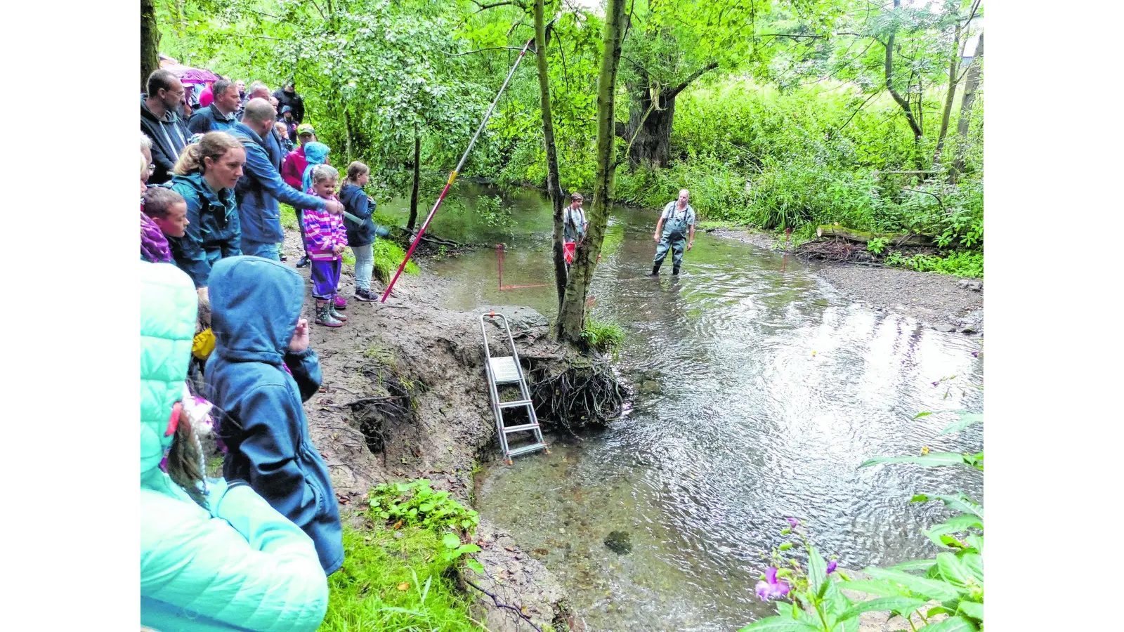 Regen begleitet die Regatta (Foto: al)