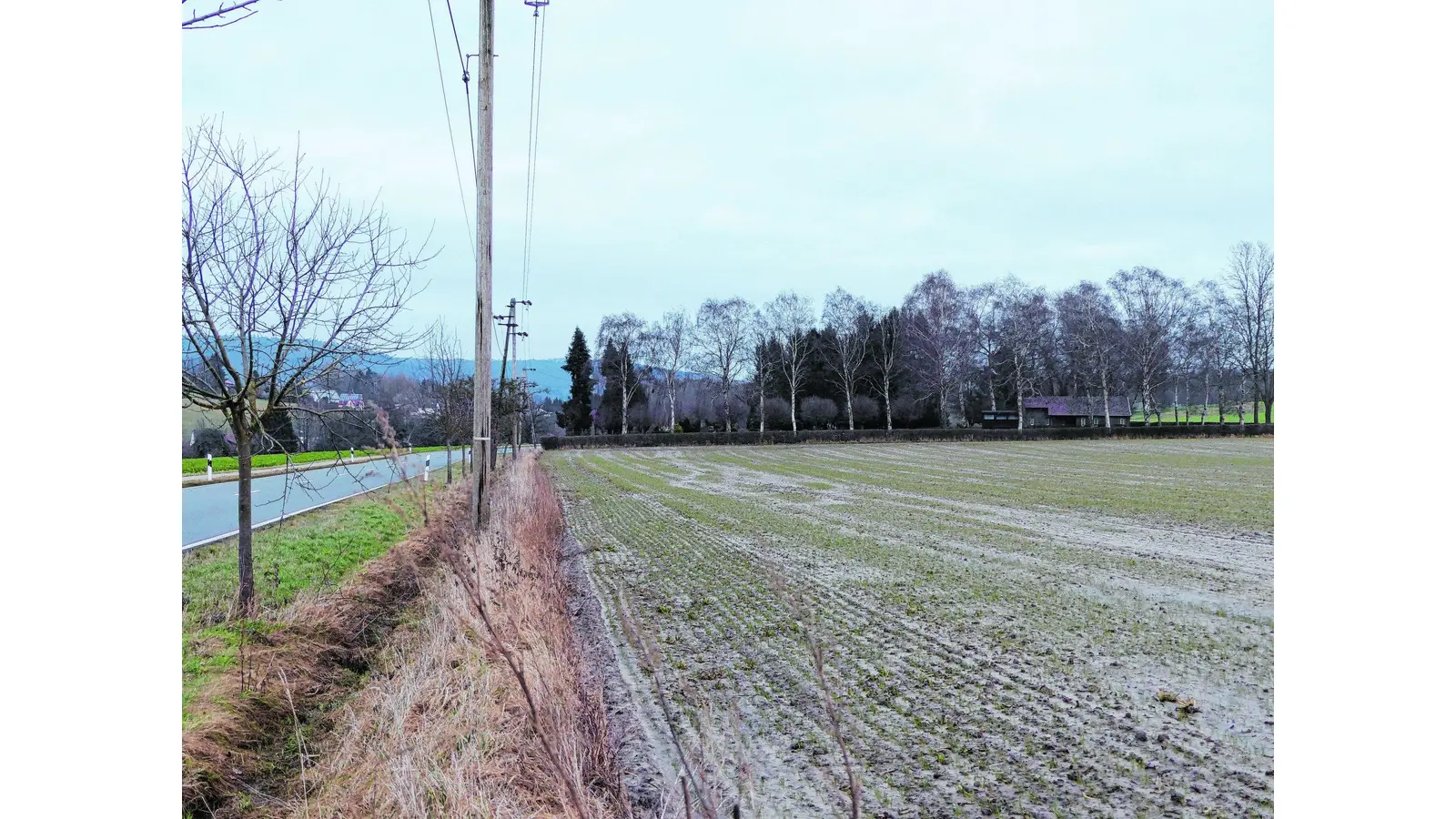 Noch weite Wege bis zum Werden (Foto: al)