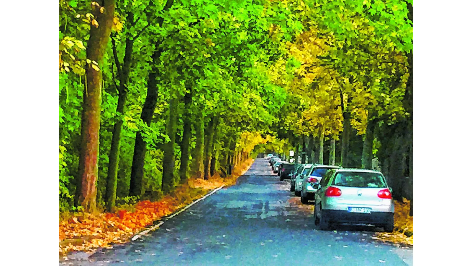 Die herbstliche Pracht birgt Gefahren (Foto: km)
