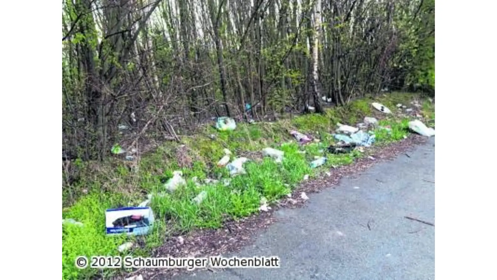 Grünstreifen im Gewerbegebiet wird zum neuen Müllabladeplatz (Foto: us)
