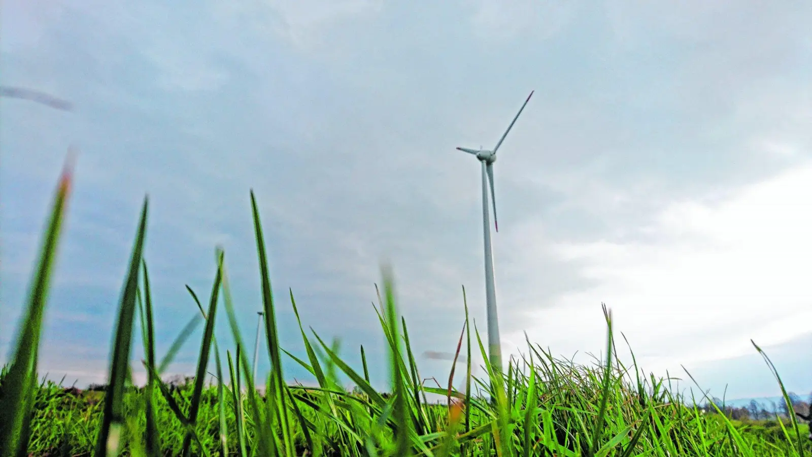 Investoren bringen neuen Wind (Foto: red)