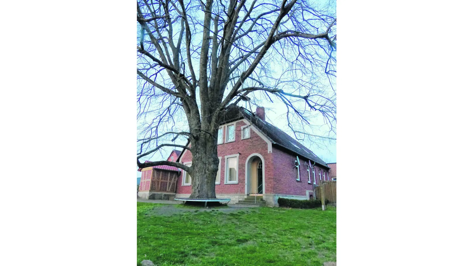 Licht für die Linde (Foto: al)