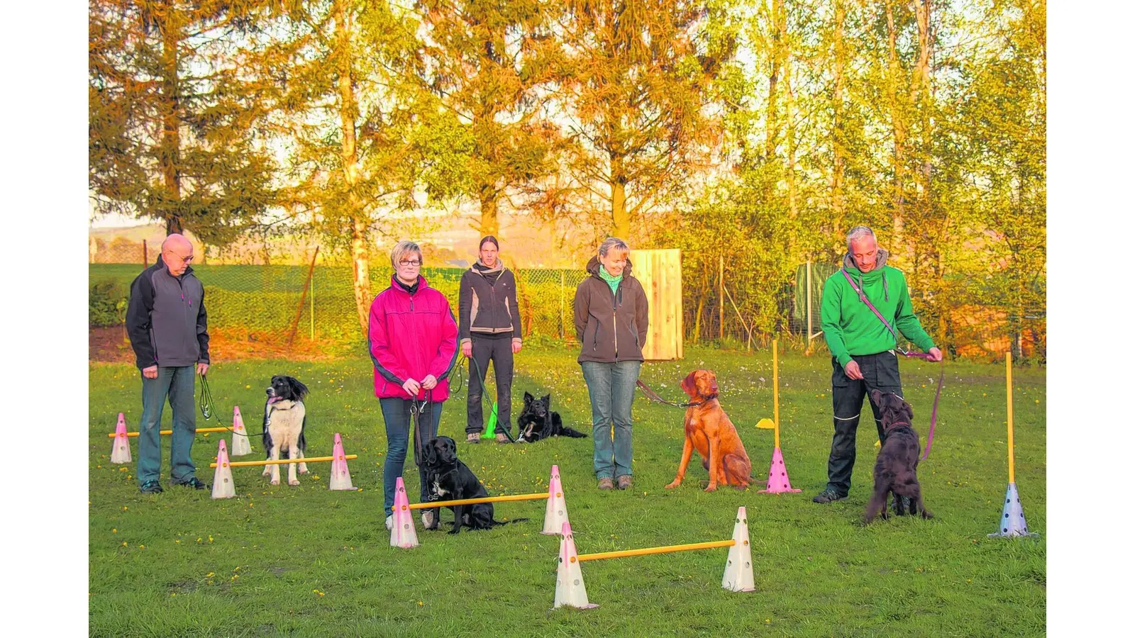 Hundesportverein an der Lieth gegründet (Foto: gr)