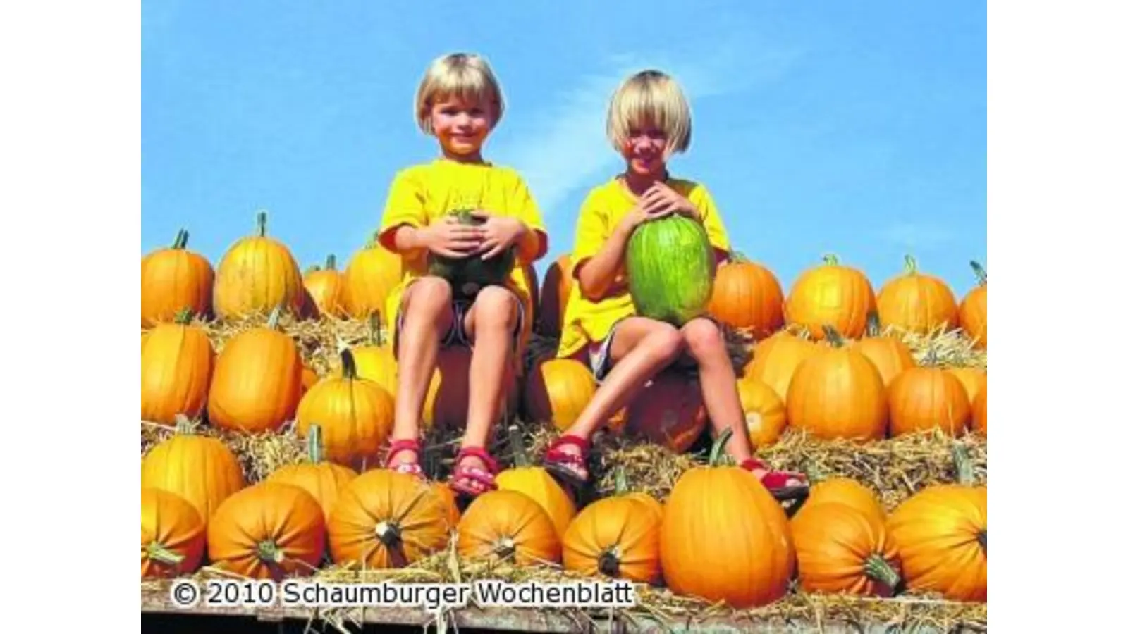 Herbstzeit ist Kürbiszeit (Foto: ste)