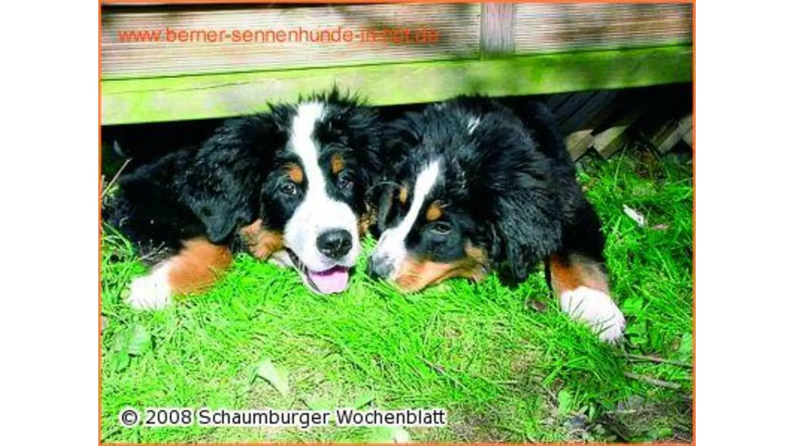 Einladung zum bunten Herbstfest (Foto: red)