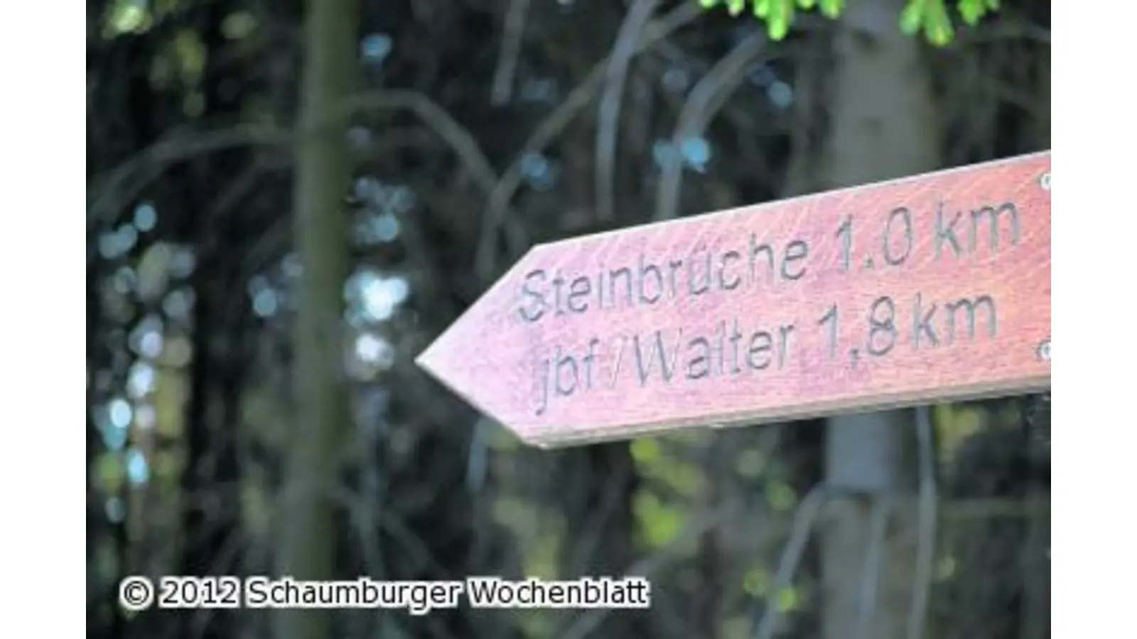Auf den Spuren der Dinosaurier wandeln (Foto: wa)