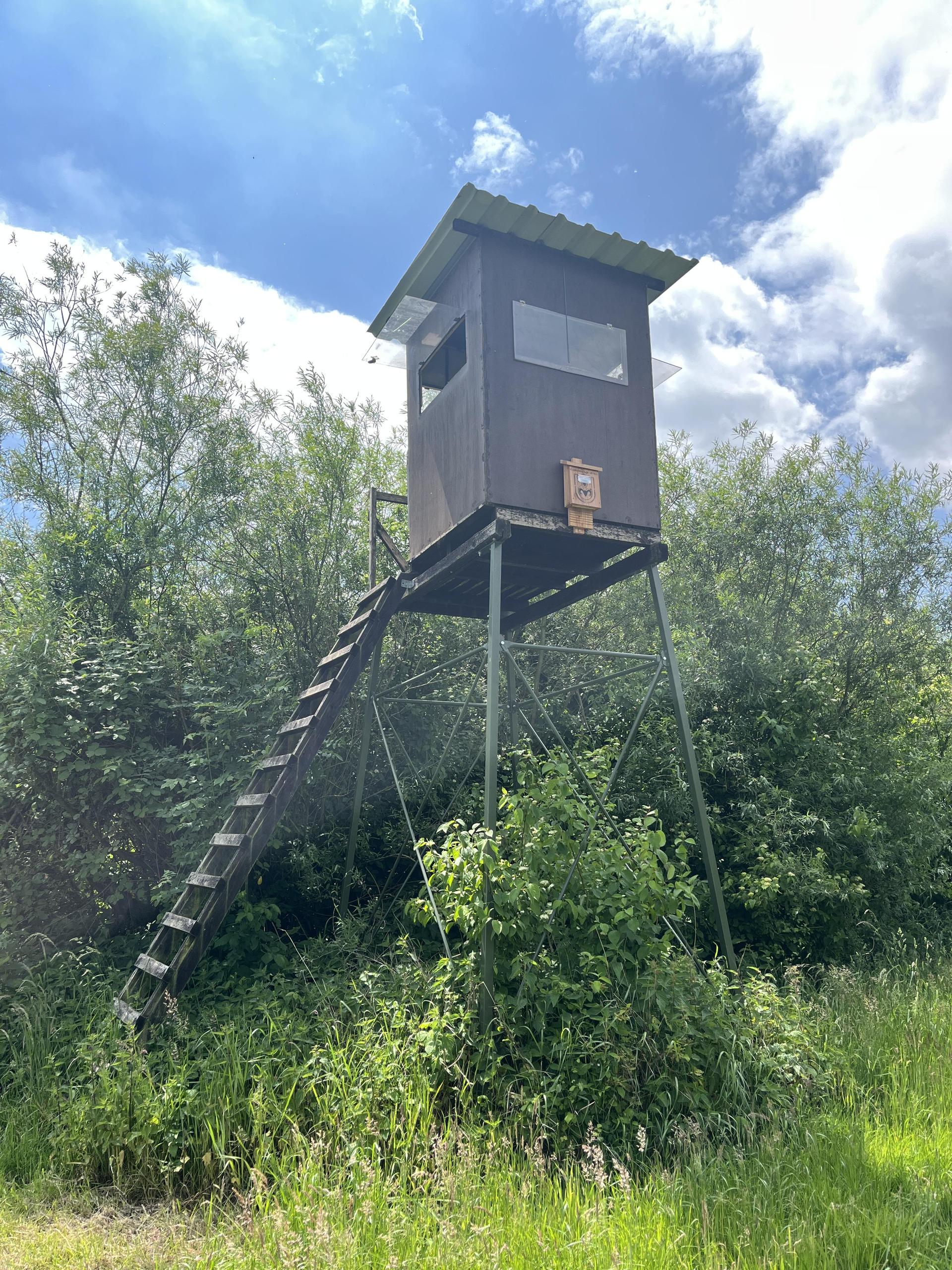 Wir waren mit den Joneks auf dem Hochsitz, das Revier beobachten. (Foto: nd)