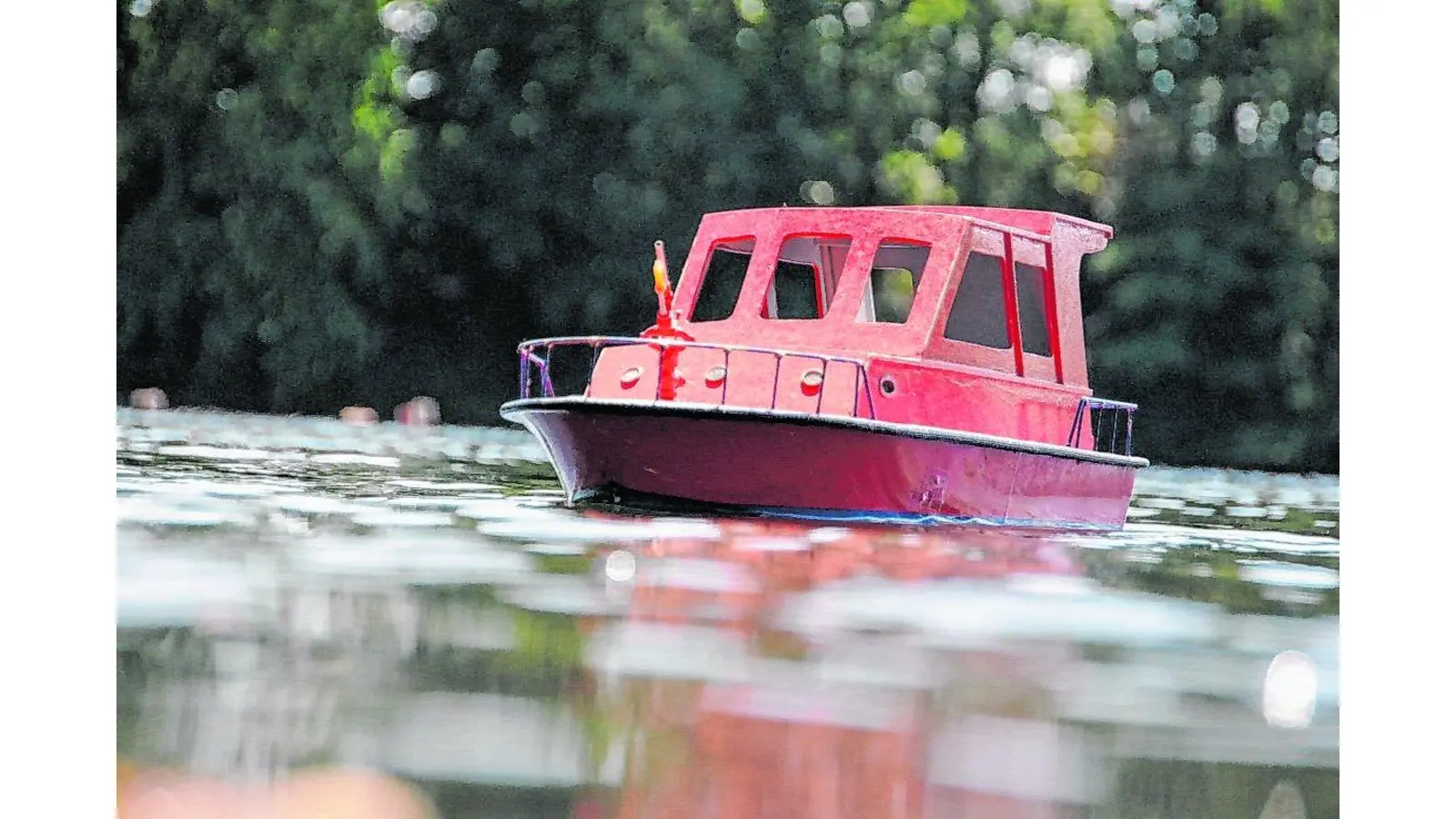 Sommersonnenspaß am Jahn-Teich (Foto: mm)